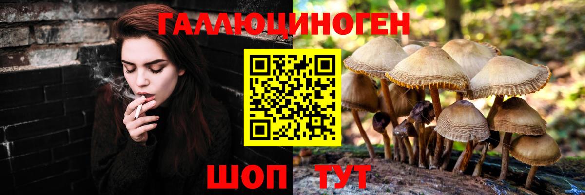 Псилоцибиновые грибы мицелий Североморск