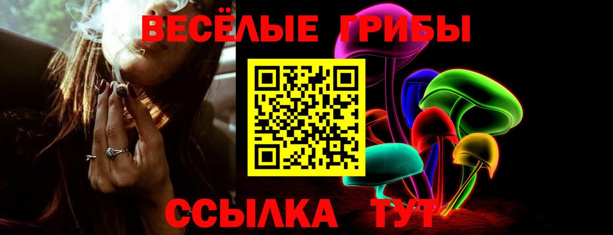 Галлюциногенные грибы Magic Shrooms  Вход с VPN  Североморск 